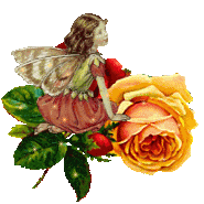 l'ange de la paix